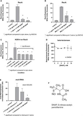 Inhibition of SOS Response by Nitric Oxide Donors in Escherichia coli Blocks Toxin Production and Hypermutation